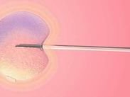 国内试管婴儿助孕2026最新价格清单介绍，节省试管费用的小妙招推荐