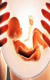 香港大学深圳医院做三代试管成功率如何？一文读懂需要花多少钱